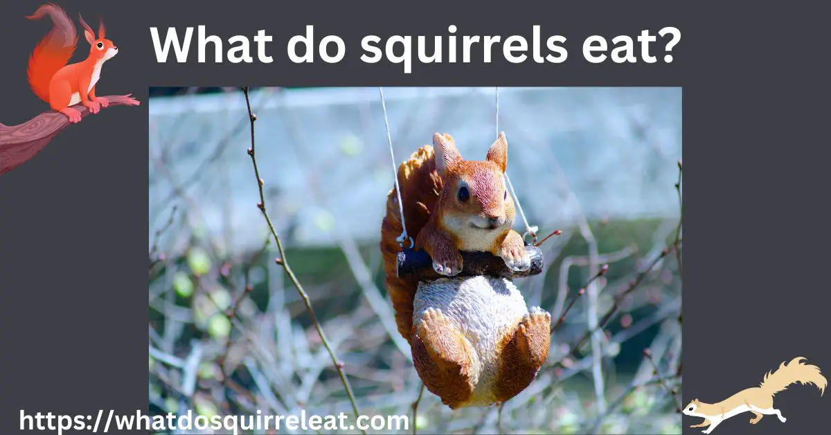 You are currently viewing What do Squirrels Eat-Detailed Guide