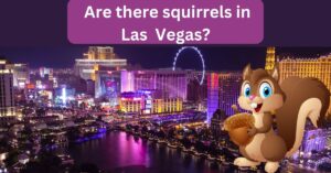 Read more about the article Are there squirrels in Las Vegas? ( Inspiring details)